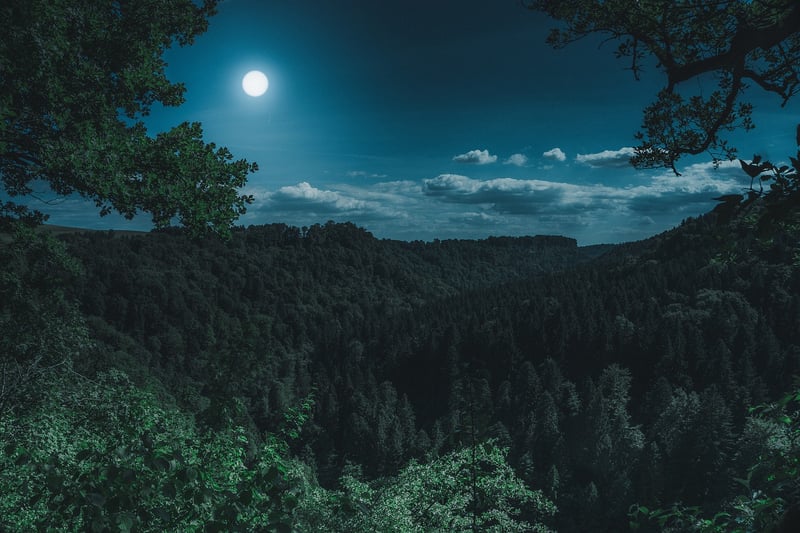 Moonlit Brew